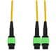Amphenol ProLabs C-24FMPO-2MPO50CM9SMF