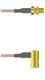 Amphenol Custom Cable Q-2W03S0005012i