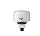Auer Signal SD50-GYR-W