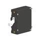 Carling Technologies AA1-B0-34-410-1B1-C