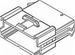 Aptiv (formerly Delphi) 12177254 förstorad bild