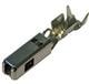 Aptiv (formerly Delphi) 13671254-L