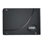 Intel SSDPE21K100GA01 förstorad bild