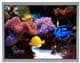 KYOCERA Display T-55787GD104J-LW-ALN