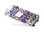 Adafruit Black Magic Probe
