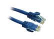 Cat 6a UTP & STP Patch Cords