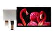 7" & 10.1" High Brightness (HB) IPS Displays