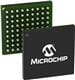 Microchip Technology MAX24205EXG2