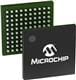 Microchip Technology ZL30116GGG2V2