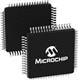 Microchip Technology PIC32CM1602GV00064-E/V2X