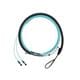 Panduit FXTRP7NQSONF030