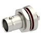 Radiall 6501-7051-003