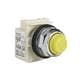 Square D 9001KP38LYY31
