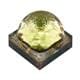 Cree LED XQEACY-00-0000-000000701